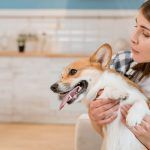 pasta-de-dinti-pentru-caini