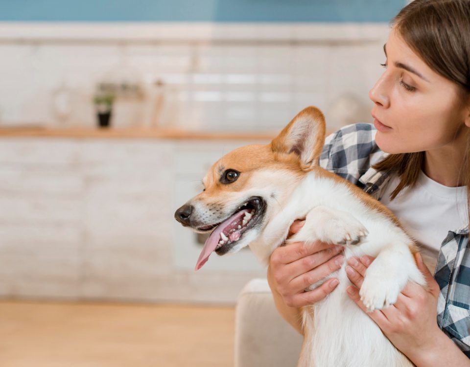 pasta-de-dinti-pentru-caini