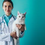 veterinar-sector-4